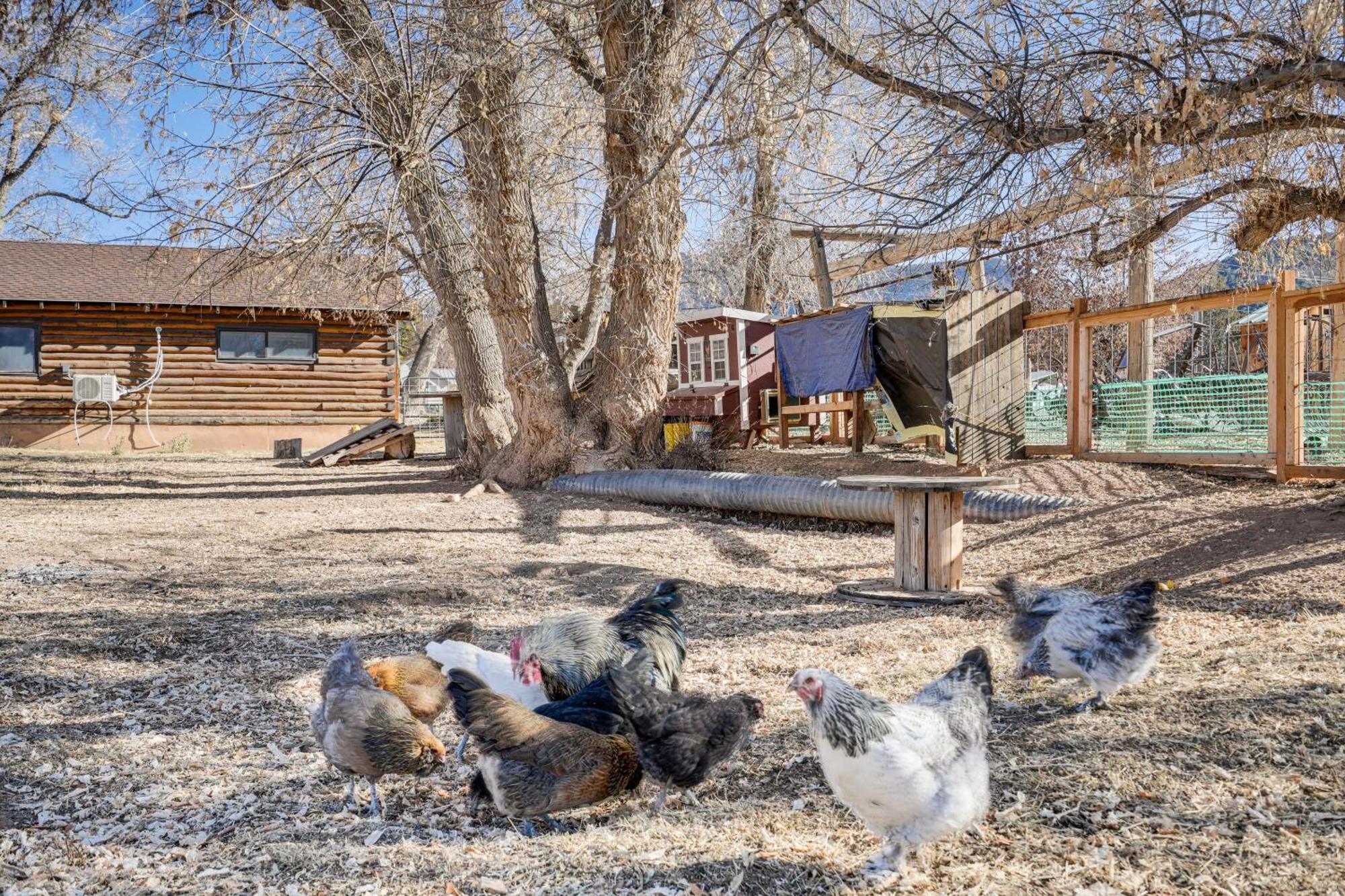 Cozy Parowan Studio 12 Mi To Brian Head Resort! מראה חיצוני תמונה